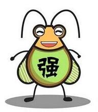 蟑螂為什么叫小強