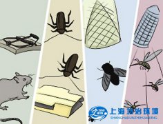 天氣轉(zhuǎn)暖，蚊子、蒼蠅、蟑螂、老鼠開始活躍