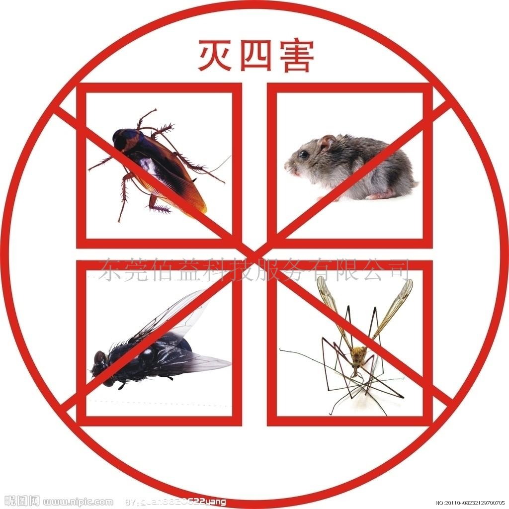 居家蟲害防制寶典--老鼠、蟑螂