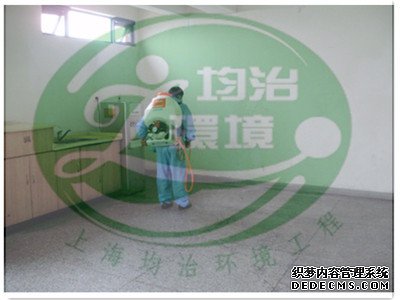 怎樣區(qū)分白蟻和螞蟻？