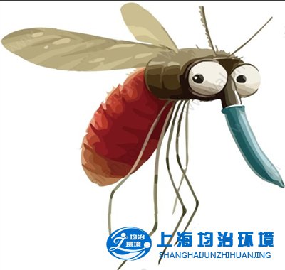 你猜”小強(qiáng)“住哪里？