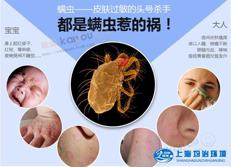 你真的了解螨蟲嗎？