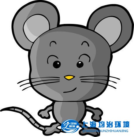 冬季老鼠喜歡鉆車內(nèi)，易給汽車造成危害